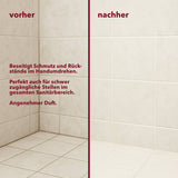 Nettoyant pour bain et parfum, valeur pH 2, 10 litres