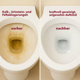 WC-Reiniger, dickflüssig, 10 Liter, pH <2, Gefahrengut UN3264